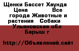 Щенки Бассет Хаунда  › Цена ­ 25 000 - Все города Животные и растения » Собаки   . Ульяновская обл.,Барыш г.